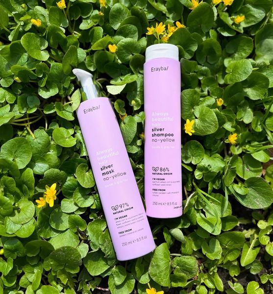 ERAYBA ABH Silver No-Yellow Shampoo Шампунь проти жовтизни волосся 3682 фото