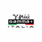 Gamma+